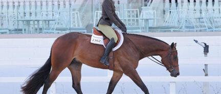 Amber Pickard pilots En The Kruzin Lane to win in Maiden 3-Year-Old & Over Open Hunter Under Saddle at Orange Blossom Classic