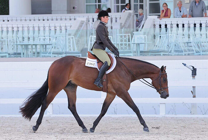 Amber Pickard pilots En The Kruzin Lane to win in Maiden 3-Year-Old & Over Open Hunter Under Saddle at Orange Blossom Classic