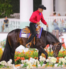 Brad Ost rides Nothin But Nett to historic $100,000 win in All-Age Open Trail finals at Sudden Impulse