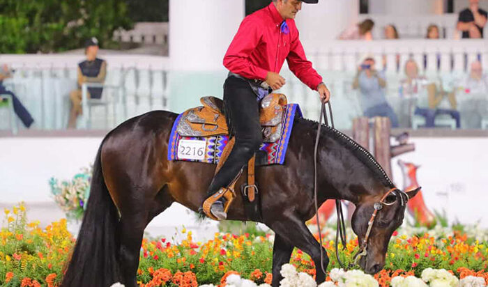Brad Ost rides Nothin But Nett to historic $100,000 win in All-Age Open Trail finals at Sudden Impulse