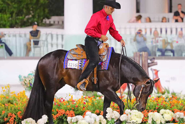 Brad Ost rides Nothin But Nett to historic $100,000 win in All-Age Open Trail finals at Sudden Impulse