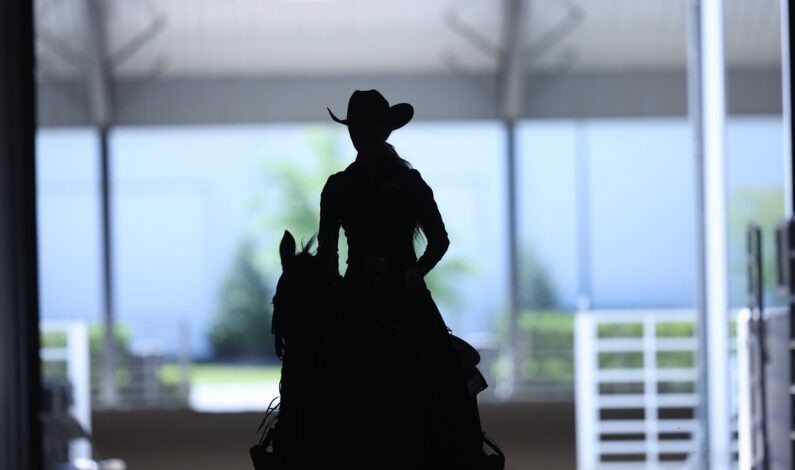 All-Championship team named by NCEA for 2026