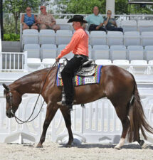 Western Pleasure, Hunter Under Saddle and Hunter Derby competition fill busy day at Sudden Impulse
