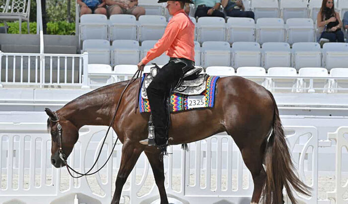 Western Pleasure, Hunter Under Saddle and Hunter Derby competition fill busy day at Sudden Impulse