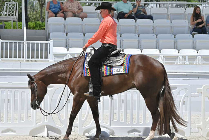 Western Pleasure, Hunter Under Saddle and Hunter Derby competition fill busy day at Sudden Impulse