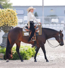 Orange Blossom opens Thursday competition with Western Pleasure, Hunter Under Saddle contests