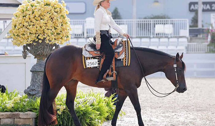 Orange Blossom opens Thursday competition with Western Pleasure, Hunter Under Saddle contests