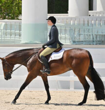 Jana Simons teams with Against The Laww to win 3-Year-Old Non-Pro Hunter Under Saddle as Sudden Impulse draws closer to an end