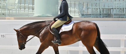 Jana Simons teams with Against The Laww to win 3-Year-Old Non-Pro Hunter Under Saddle as Sudden Impulse draws closer to an end