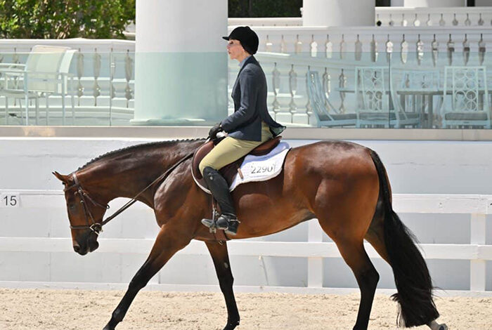 Jana Simons teams with Against The Laww to win 3-Year-Old Non-Pro Hunter Under Saddle as Sudden Impulse draws closer to an end