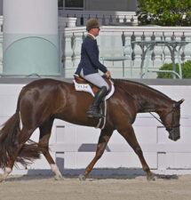 Sudden Impulse opens with Hunter Under Saddle classes at World Equestrian Center in Ocala