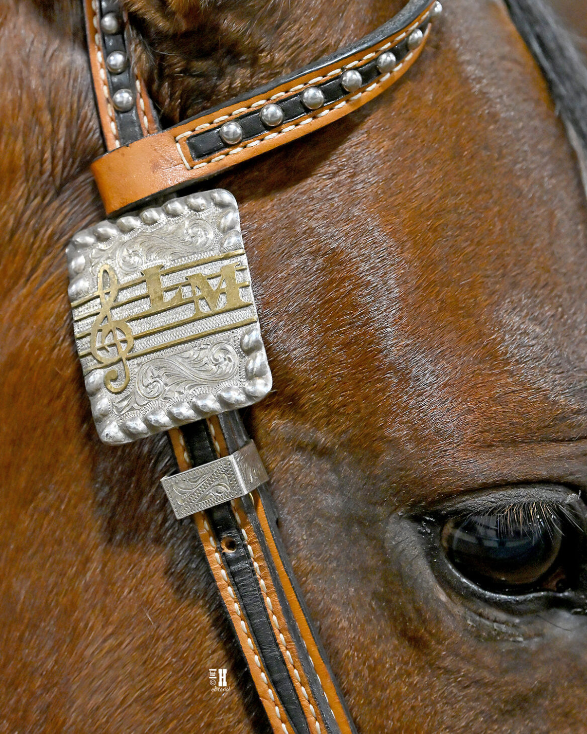 SNW26-C2-7206-EDITORIAL ISE