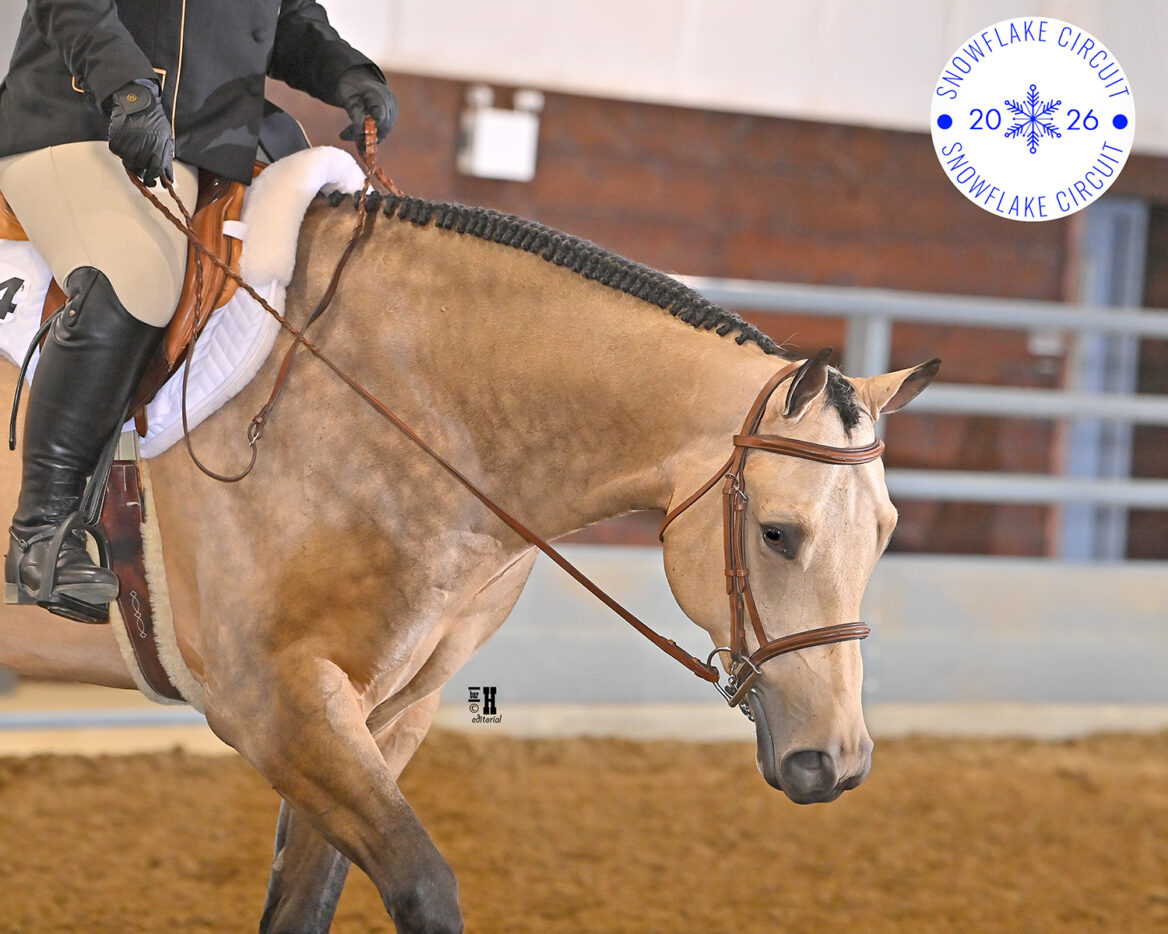 SNW26-L1HUS-8652-EDITORIAL ISE