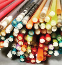 2-Year-Rule: AQHA repeals controversial regulations for frozen semen and embryos