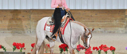 Orange Blossom wraps up with Trail, Hunter & Western Pleasure competition; Susan Johns, KM Flat Out The Best win $5,000 Select Trail