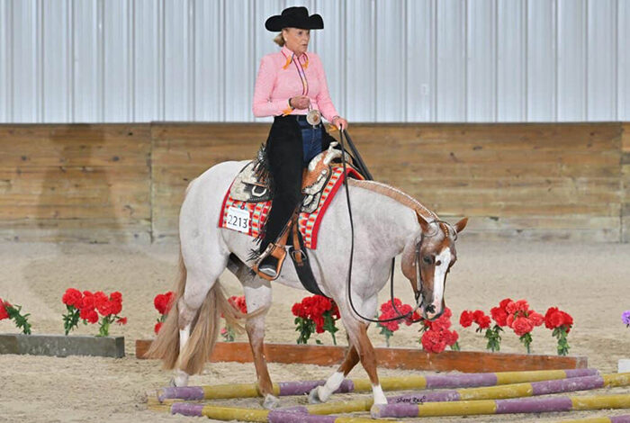 Orange Blossom wraps up with Trail, Hunter & Western Pleasure competition; Susan Johns, KM Flat Out The Best win $5,000 Select Trail