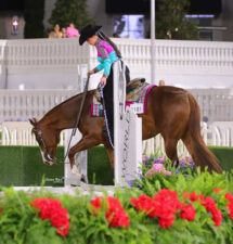 Siena Holyoak teams with Wrap Me In Red to win $50,000 Non-Pro Trail Finals and I Wrote The Code and Aaron Moses claim $55,000 3-Year-Old & Over Western Pleasure title Saturday at Orange Blossom