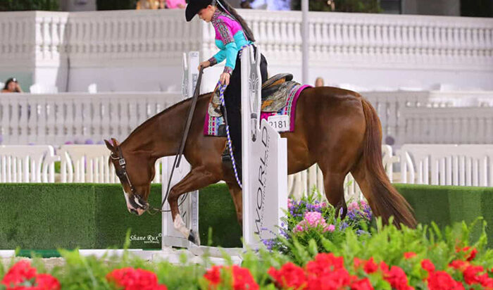 Siena Holyoak teams with Wrap Me In Red to win $50,000 Non-Pro Trail Finals and I Wrote The Code and Aaron Moses claim $55,000 3-Year-Old & Over Western Pleasure title Saturday at Orange Blossom