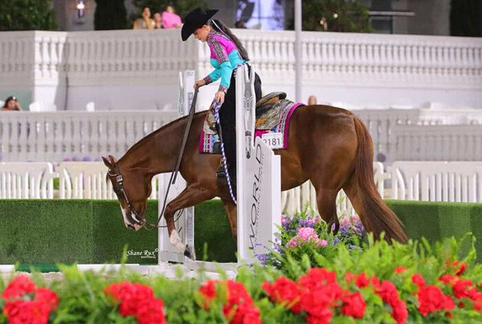 Siena Holyoak teams with Wrap Me In Red to win $50,000 Non-Pro Trail Finals and I Wrote The Code and Aaron Moses claim $55,000 3-Year-Old & Over Western Pleasure title Saturday at Orange Blossom