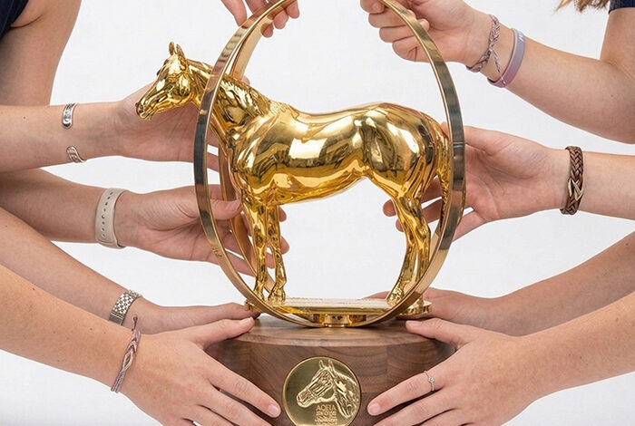 Take On The World: Kenzie Bracken says ‘finesse’ helps win Hunter Under Saddle classes at the highest level